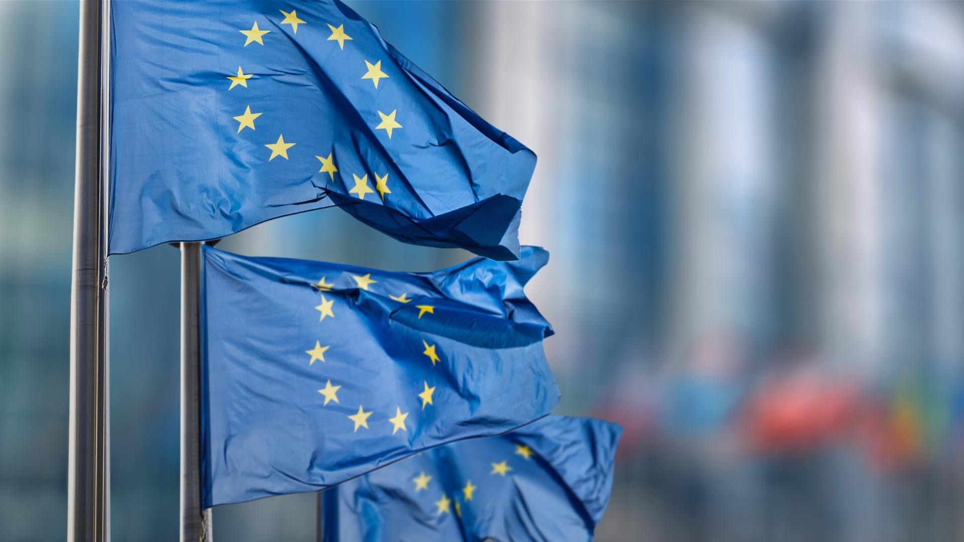 Mehrere Flaggen der Europäischen Union wehen im Wind.