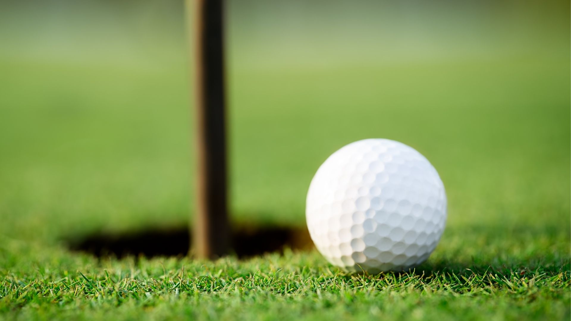 Golfball liegt auf grünem Gras.